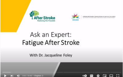 Fatigue after stroke webinar